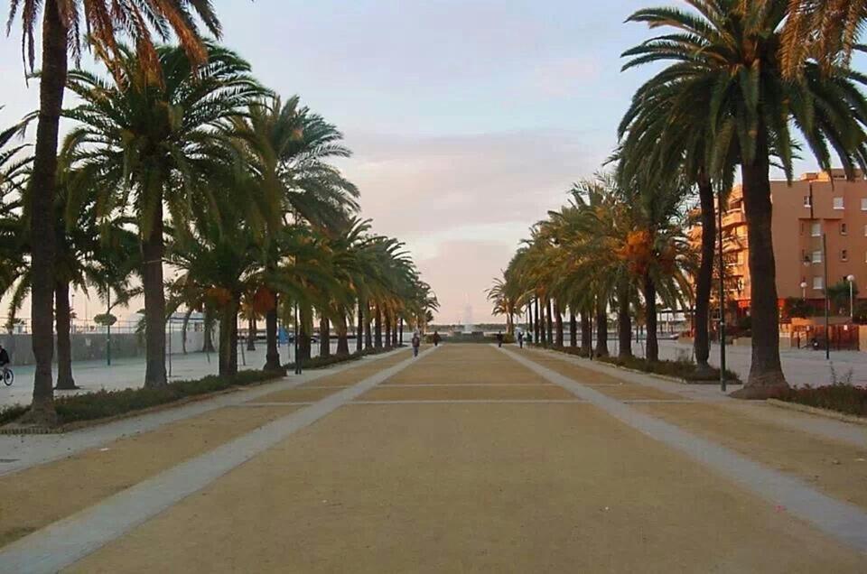 Convento De La Victoria Junto Al Cabildo Con Wifi Y Parking Gratis Lägenhet Sanlúcar de Barrameda Exteriör bild